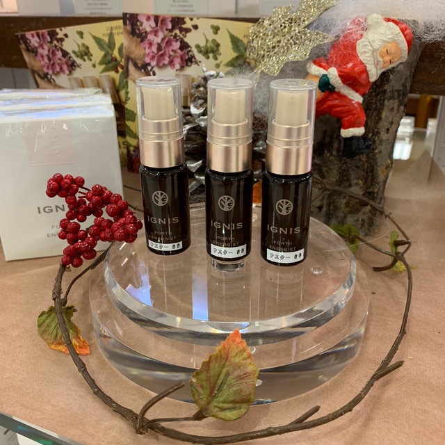 『アーユルヴェーダー』と『漢方』の融合。エナジスト！ リニューアル。