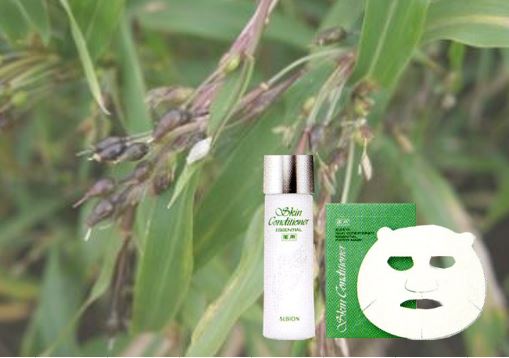 アルビオンのこだわり、新人スタッフ私の想い。