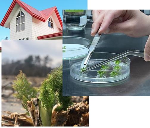 ALBIONの魅力と信頼される理由