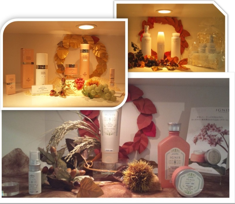 $ALBION・IGNIS ~ききかじり~-2012-8-11